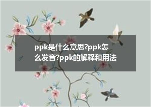 ppk是什么意思?ppk怎么发音?ppk的解释和用法
