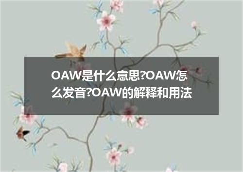 OAW是什么意思?OAW怎么发音?OAW的解释和用法