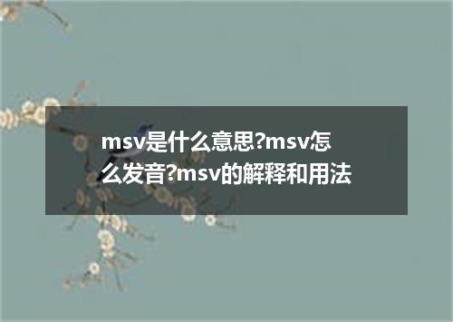 msv是什么意思?msv怎么发音?msv的解释和用法