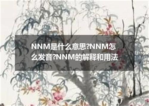 NNM是什么意思?NNM怎么发音?NNM的解释和用法