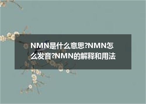 NMN是什么意思?NMN怎么发音?NMN的解释和用法
