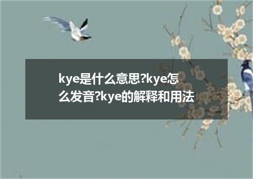 kye是什么意思?kye怎么发音?kye的解释和用法