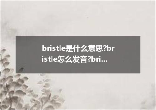 bristle是什么意思?bristle怎么发音?bristle的解释和用法