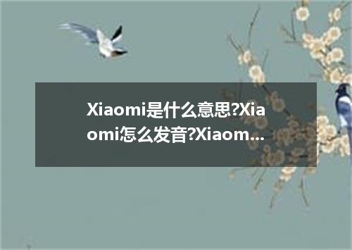 Xiaomi是什么意思?Xiaomi怎么发音?Xiaomi的解释和用法