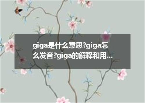 giga是什么意思?giga怎么发音?giga的解释和用法