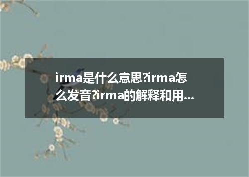 irma是什么意思?irma怎么发音?irma的解释和用法