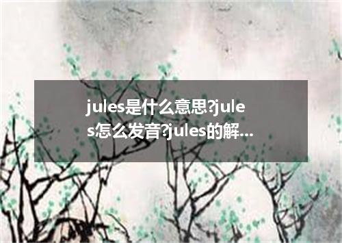 jules是什么意思?jules怎么发音?jules的解释和用法