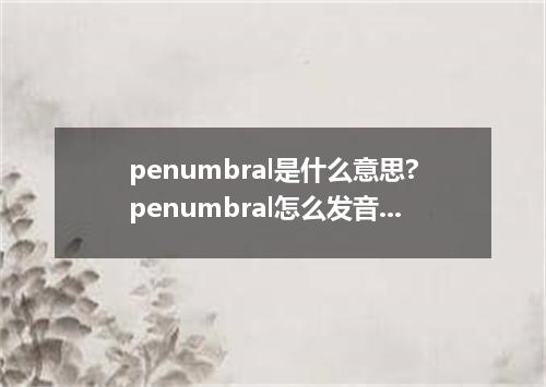 penumbral是什么意思?penumbral怎么发音?penumbral的解释和用法
