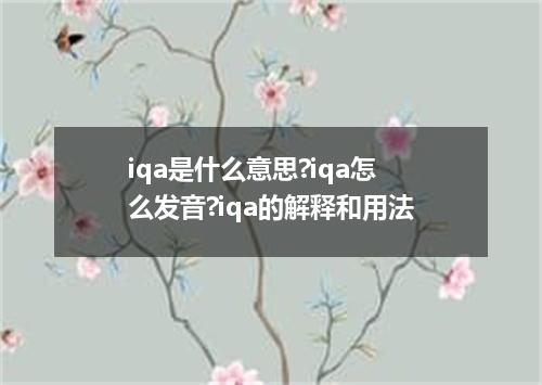 iqa是什么意思?iqa怎么发音?iqa的解释和用法