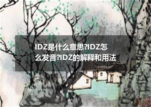 IDZ是什么意思?IDZ怎么发音?IDZ的解释和用法