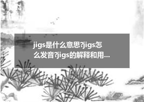 jigs是什么意思?jigs怎么发音?jigs的解释和用法