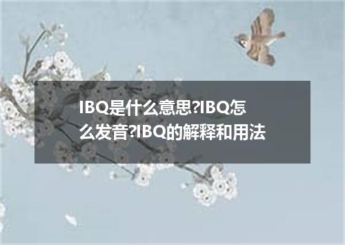 IBQ是什么意思?IBQ怎么发音?IBQ的解释和用法