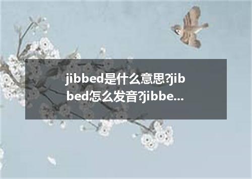 jibbed是什么意思?jibbed怎么发音?jibbed的解释和用法