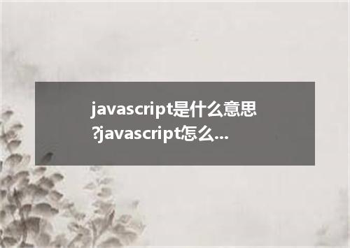 javascript是什么意思?javascript怎么发音?javascript的解释和用法