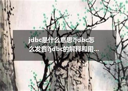 jdbc是什么意思?jdbc怎么发音?jdbc的解释和用法