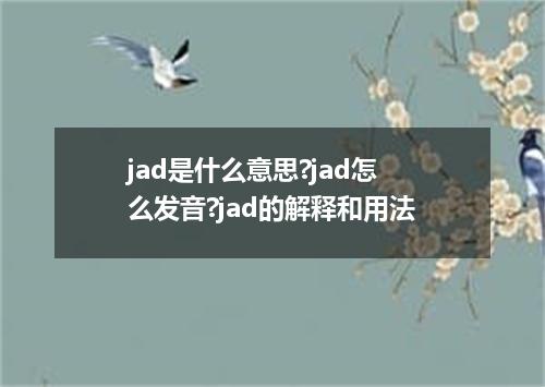 jad是什么意思?jad怎么发音?jad的解释和用法