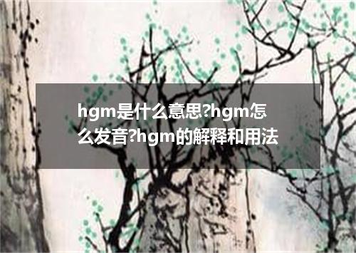 hgm是什么意思?hgm怎么发音?hgm的解释和用法