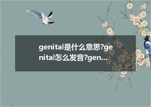 genital是什么意思?genital怎么发音?genital的解释和用法