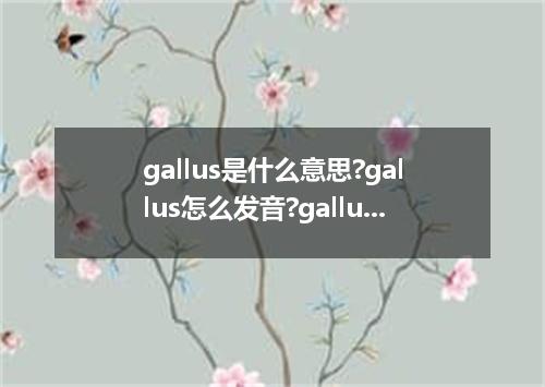 gallus是什么意思?gallus怎么发音?gallus的解释和用法