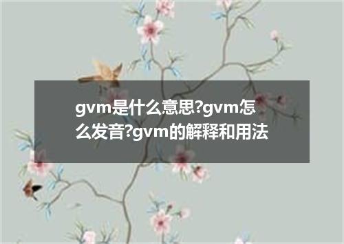 gvm是什么意思?gvm怎么发音?gvm的解释和用法
