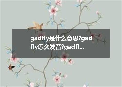 gadfly是什么意思?gadfly怎么发音?gadfly的解释和用法