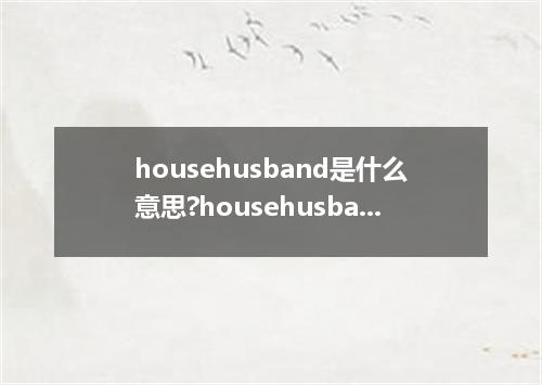 househusband是什么意思?househusband怎么发音?househusband的解释和用法
