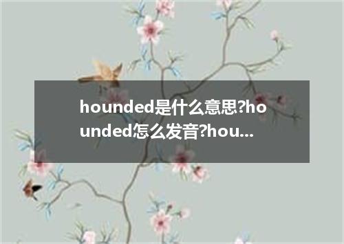 hounded是什么意思?hounded怎么发音?hounded的解释和用法