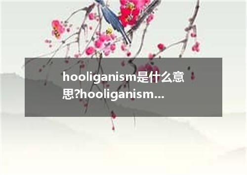 hooliganism是什么意思?hooliganism怎么发音?hooliganism的解释和用法