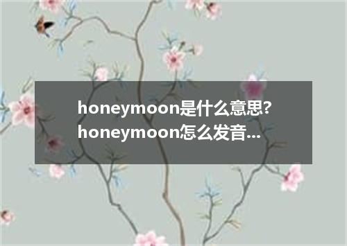 honeymoon是什么意思?honeymoon怎么发音?honeymoon的解释和用法