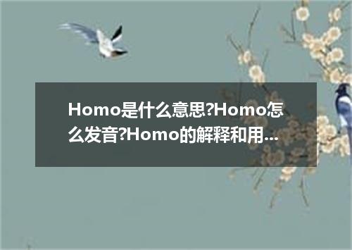 Homo是什么意思?Homo怎么发音?Homo的解释和用法