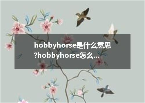 hobbyhorse是什么意思?hobbyhorse怎么发音?hobbyhorse的解释和用法