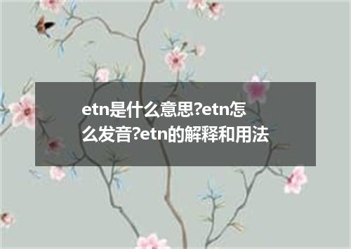 etn是什么意思?etn怎么发音?etn的解释和用法