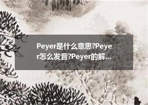 Peyer是什么意思?Peyer怎么发音?Peyer的解释和用法