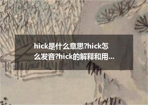 hick是什么意思?hick怎么发音?hick的解释和用法