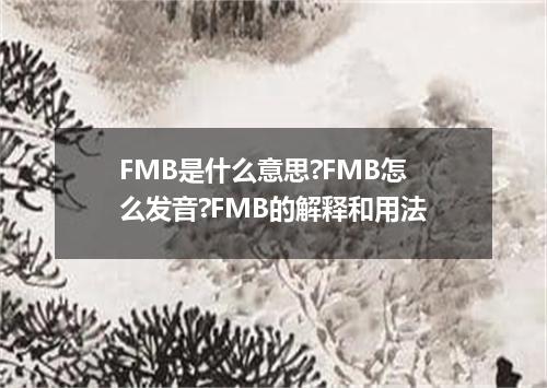 FMB是什么意思?FMB怎么发音?FMB的解释和用法