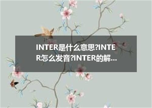 INTER是什么意思?INTER怎么发音?INTER的解释和用法