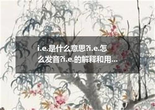 i.e.是什么意思?i.e.怎么发音?i.e.的解释和用法
