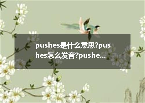 pushes是什么意思?pushes怎么发音?pushes的解释和用法