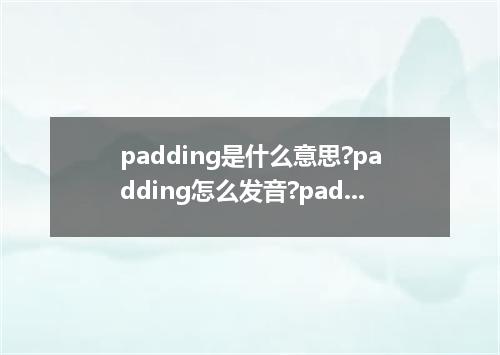 padding是什么意思?padding怎么发音?padding的解释和用法