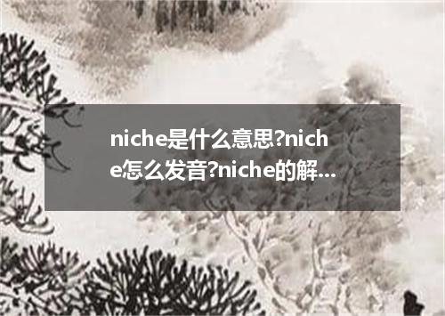 niche是什么意思?niche怎么发音?niche的解释和用法