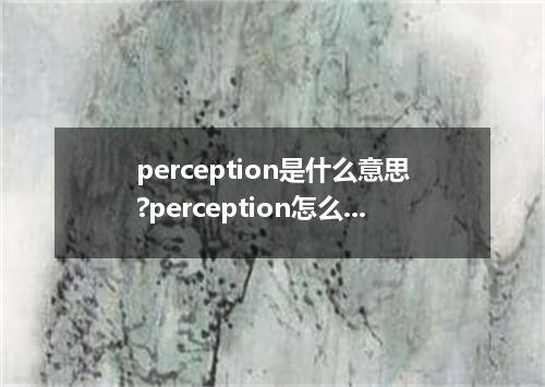 perception是什么意思?perception怎么发音?perception的解释和用法