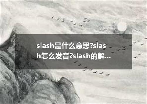 slash是什么意思?slash怎么发音?slash的解释和用法