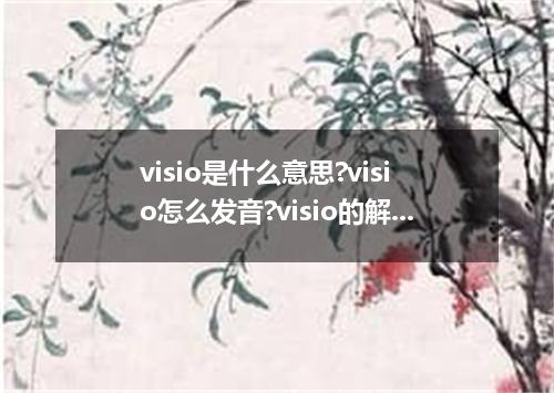 visio是什么意思?visio怎么发音?visio的解释和用法