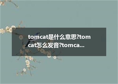 tomcat是什么意思?tomcat怎么发音?tomcat的解释和用法