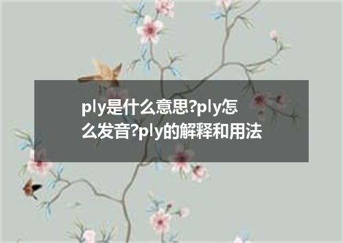 ply是什么意思?ply怎么发音?ply的解释和用法