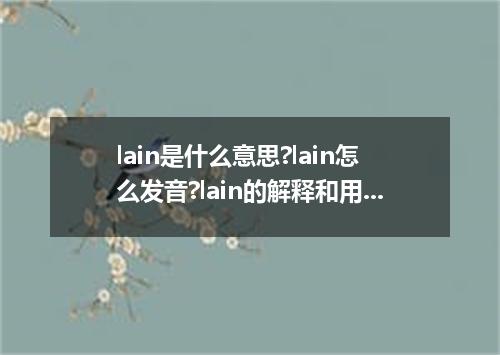 lain是什么意思?lain怎么发音?lain的解释和用法