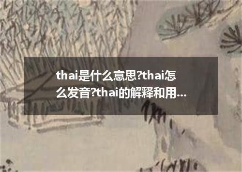thai是什么意思?thai怎么发音?thai的解释和用法