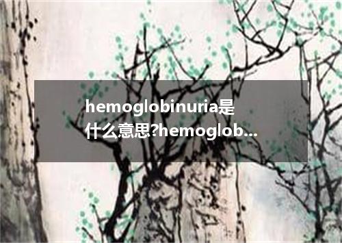 hemoglobinuria是什么意思?hemoglobinuria怎么发音?hemoglobinuria的解释和用法