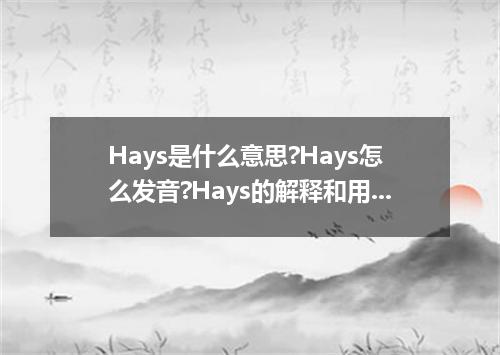 Hays是什么意思?Hays怎么发音?Hays的解释和用法