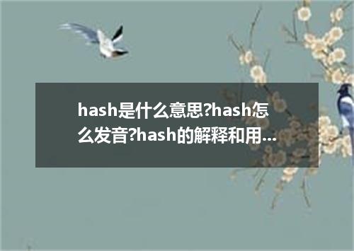 hash是什么意思?hash怎么发音?hash的解释和用法
